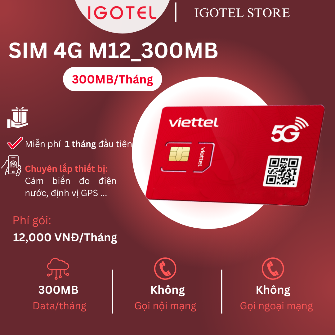 M12_300MB